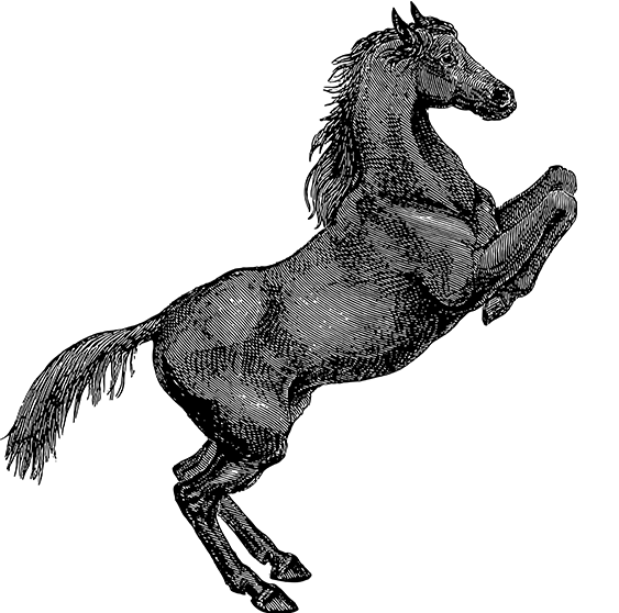 亿万28官网